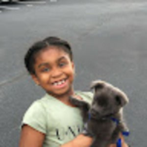 Meet your Posher, Bl